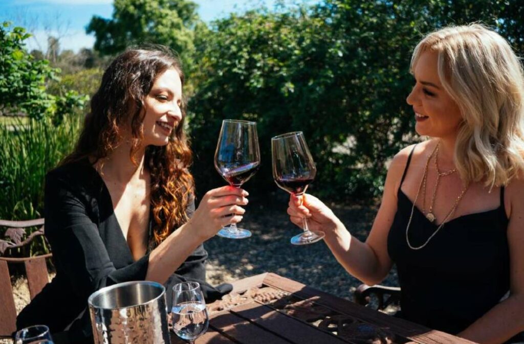 Wine Tour Europe Guide: Best Countries to Sip and Savor in 2025 Wine Tour Europe