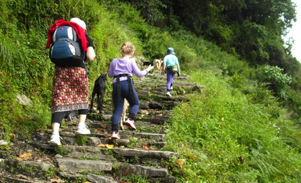 How to Trek ABC with a Group