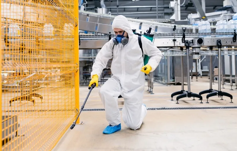 Pest Control: Safeguarding Homes, Health, and Businesses