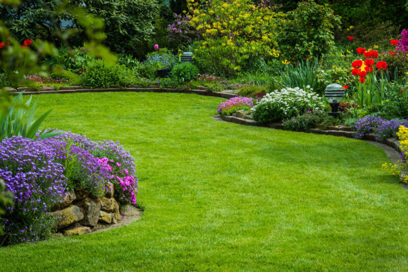 Transform Your Outdoor Space With Professional Landscaping